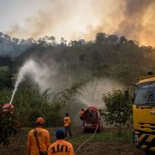 Waldbrand ­bedroht Unesco-Weltnaturerbe