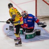 Swette hielt in Wien das Tor rein