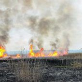 Flammeninferno am Neusiedler See