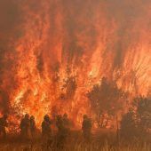 Erster großer Waldbrand des Jahres in Spanien