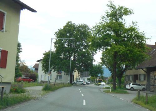 Wie alle anderen Gemeinden in Vorarlberg erstellt auch die Gemeinde Meiningen derzeit einen neuen Räumlichen Entwicklungsplan. mima
