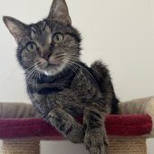 Zimba ist ein wahrer Schmusekönig