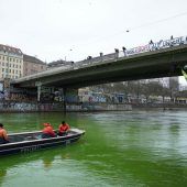 Aktivisten färben Donaukanal grün