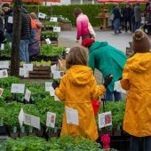 Marktzeit in Koblach