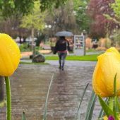 Intensiver Regen und das Warten auf die Sonne