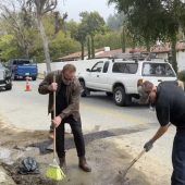 Schwarzenegger bessert Straße aus