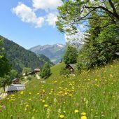Ein gutes Leben in den Alpen