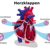 Gesundheitskompetenz als Erfolgsfaktor