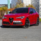 Stilsicheres und sportgieriges Alfa-Tier