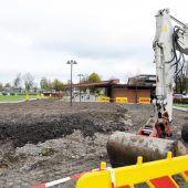 Neuer Blumenpark am Harder Binnenbecken