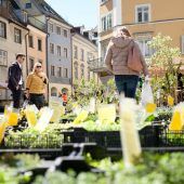 „erdreich“ präsentiert Pflanzenraritäten