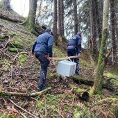 Stählerner Tresor im Wald gefunden