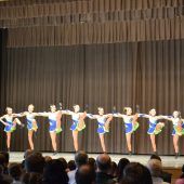 Akrobatik, Tanz und Show
