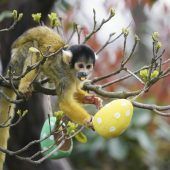 Tierischer Osterspaß