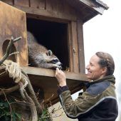 Auf leisen Pfoten auf dem Vormarsch