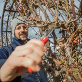 Karwoche sagt Nein zum Frühling