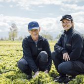 Gemüsesaison in Vorarlberg vor dem Start: Diese Sorgen plagen die Landwirte. »A4