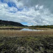 Naherholungsort und wertvolles Biotop