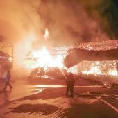 „Sonntagskälblein“ überlebte Inferno