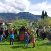 Artenvielfalt im eigenen Garten