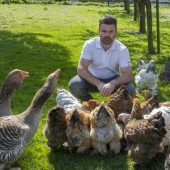 Raubvögel vermehrt in Siedlungsgebieten