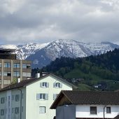 Ein Kalb am First