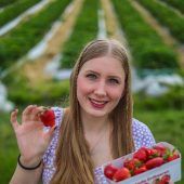 Ran an die Beeren! Die Erdbeersaison ist angelaufen. »A8