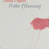 Das Auge lässt sich täuschen, das Ohr nicht