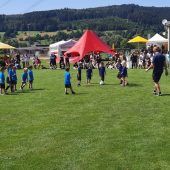 Pfingstfest mit Ortsvereineturnier in der Satteinser Au
