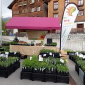 Frühlingsmarkt am Blonser Dorfplatz