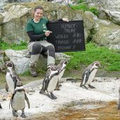 Tierische Inventur im Zoo