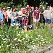 Für Wildblumen und Insektenvielfalt