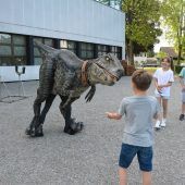 https://www.vol.at/raptor-ruby-beim-videodreh-an-der-lustenauer-vs-rheindorf/8122240