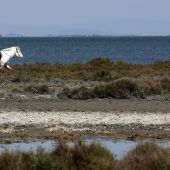 Bedrohtes Naturparadies