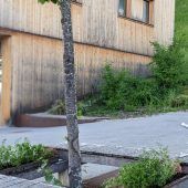 Von Bienen und Blumen