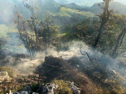 Auf dem Staufen brannte eine Waldfläche von etwa 40 Quadratmetern nieder.  Feuerwehr Dornbirn