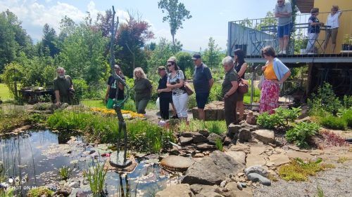 Beim Gartenteich konnten die Besucherinnen und Besucher die Insekten und Skulpturen im Garten der Heinzles bewundern. VHA (3)
