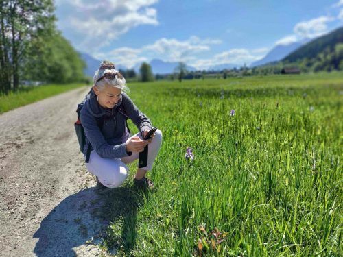 Beim inatura-BioBlitz sind alle Interessierten dazu aufgerufen, Tier- und Pflanzenarten abzulichten. inatura
