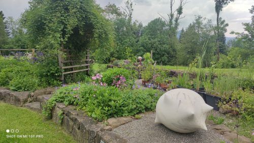 Der blühende Garten der Familie Heinzle ist ein gespicktes Refugium für Erdhummeln und andere Insekten. 
