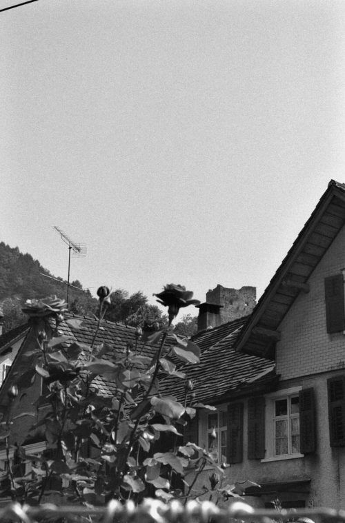 Der fünfstöckige Wohnturmder Burg von Götzis aus.
