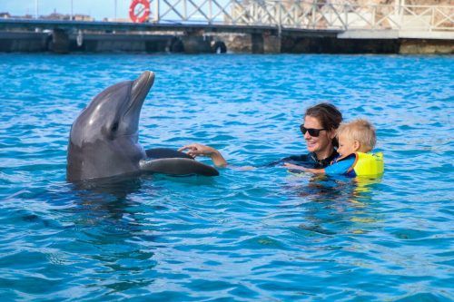 Der kleine Lion hat gut auf die Delfintherapie angesprochen. Richtfeld