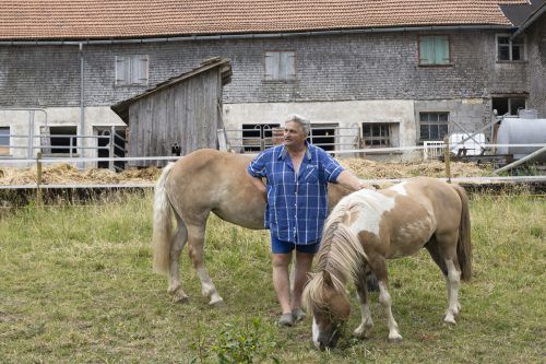 Drei Pferde und vier Ponys sind bereits in ihr neues Zuhause eingezogen.   VN/Paulitsch