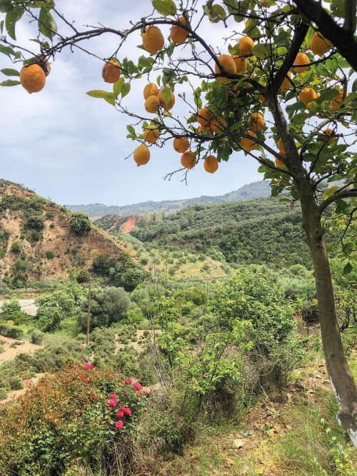Erholung pur gibt es im Botanical Park & Gardens of Crete.