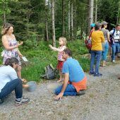 Lehrreiches Bienenfest