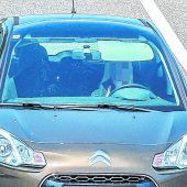 Autofahrer in der VN-Fotofalle: Neun Handysünder in 40 Minuten. »A4