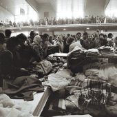Was machen Flöhe in der Landesbibliothek?