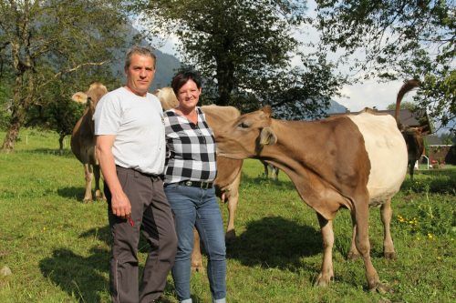 Gemeinsam mit ihrem Lebensgefährten Harry versorgt sie täglich 30 Stück Vieh. str