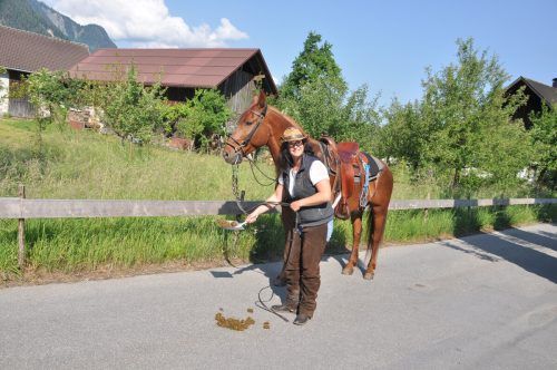 Heidi Emmert entfernt vorbildlich die Pferdeäpfel. hab