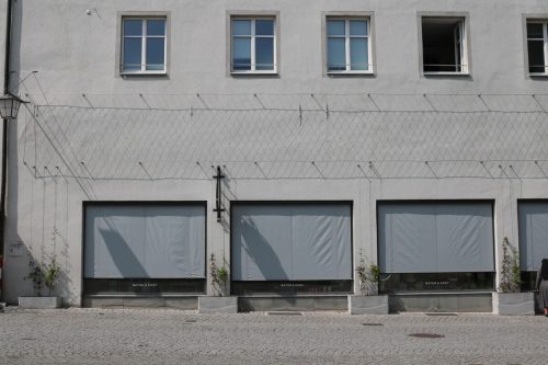 In der Johannitergasse entsteht derzeit eine Fassadenbegrünung. Stadt feldkirch
