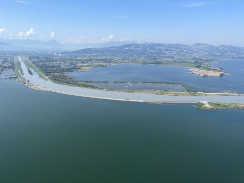 In der Lagune am Rheindelta nisten die Vögel auf den Inseln. Dort hat sich das Virus verbreitet und mittlerweile schon Hunderte Vögel gefordert. VN/Plesch